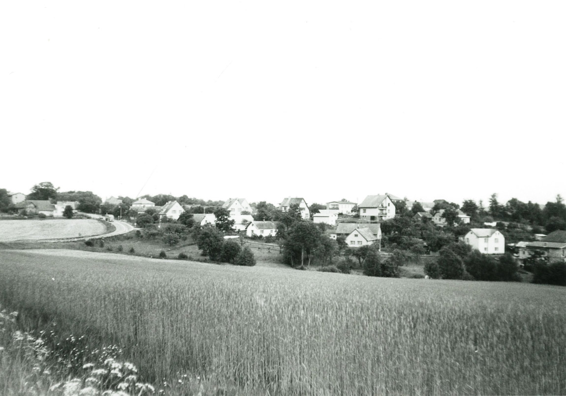 NÁVŠTĚVA U FENKŮ