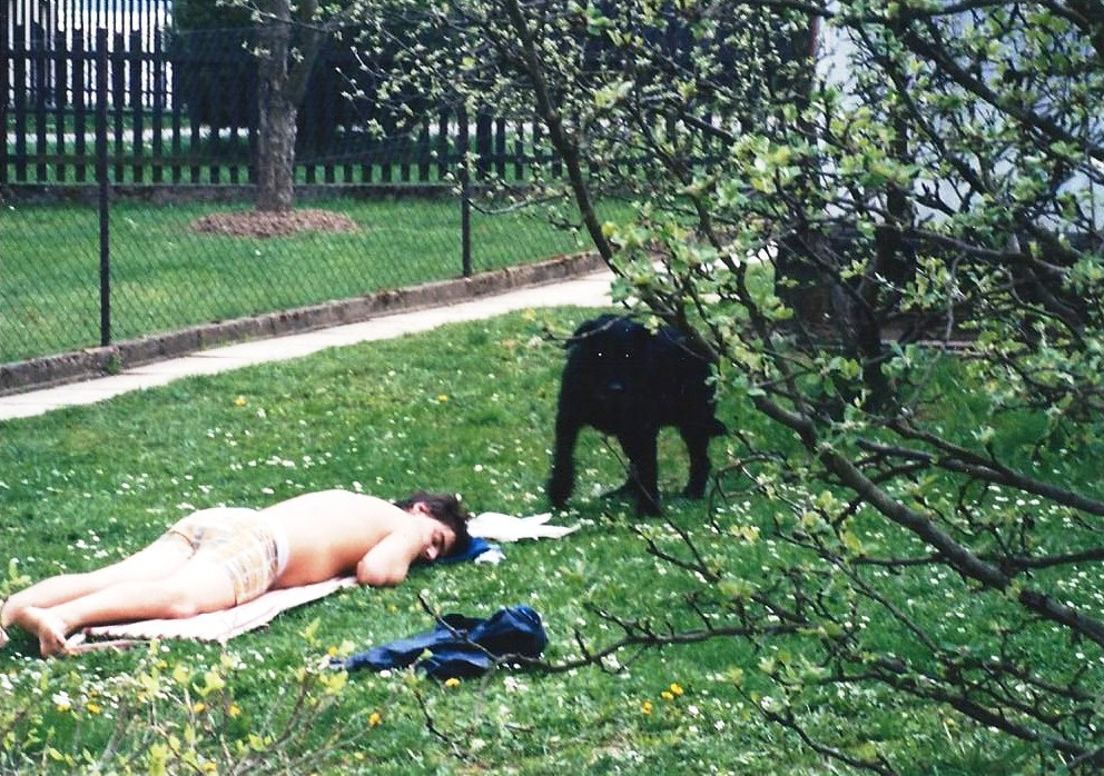 NÁVŠTĚVA U FENKŮ